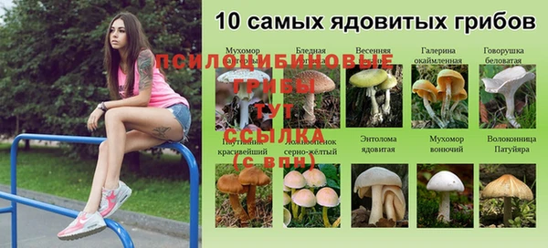 таблы Алексеевка